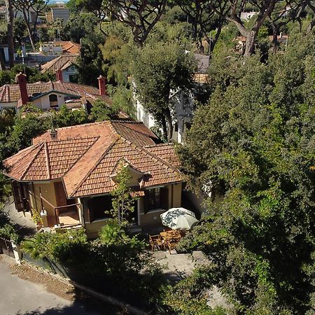 Exclusive Charming Villa - Free Parking 400 Mq Garden - Rome Airport - Roseto Villa Dream Fregenae Bagian luar foto