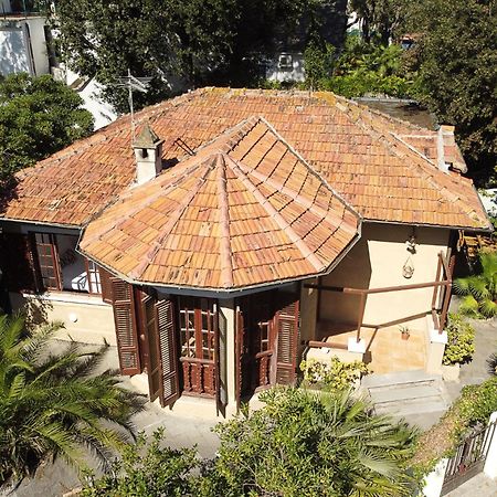 Exclusive Charming Villa - Free Parking 400 Mq Garden - Rome Airport - Roseto Villa Dream Fregenae Bagian luar foto
